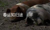 春運(yùn)知?dú)w途     平安回家路