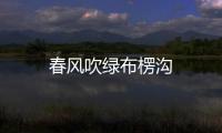 春風吹綠布楞溝