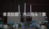 春龍抬首，鴻運當頭！雷沃重工與您共赴致富之路！