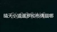 晴天小貓暹羅和布偶貓哪個好養？暹羅貓和布偶貓性格