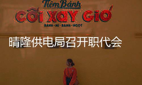 晴隆供電局召開職代會 明確2014年工作目標(biāo)