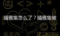 晴雅集怎么了？晴雅集被下線怎么回事？晴雅集為什么下架