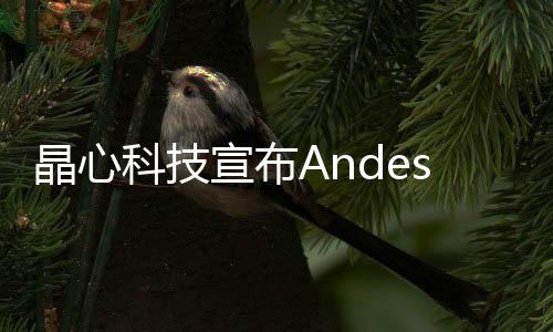 晶心科技宣布AndesCore? RISC