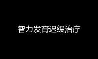 智力發育遲緩治療