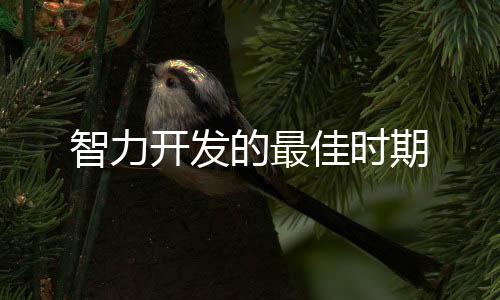 智力開(kāi)發(fā)的最佳時(shí)期