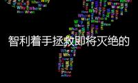 智利著手拯救即將滅絕的古老歐洲葡萄品種