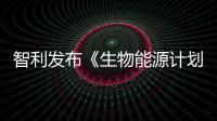 智利發(fā)布《生物能源計劃》 加大生物能源研究力度