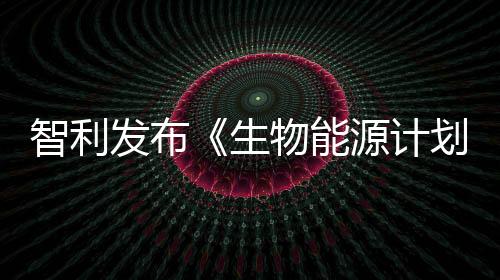 智利發(fā)布《生物能源計(jì)劃》 加大生物能源研究力度