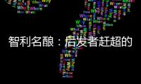 智利名釀：后發者趕超的明證