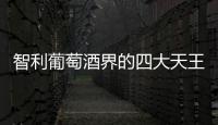 智利葡萄酒界的四大天王