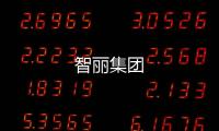智麗集團(tuán)