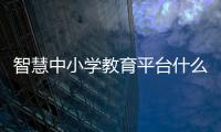 智慧中小學教育平臺什么是體育課程理念btv體育怎么沒了