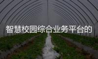 智慧校園綜合業務平臺的ESB架構分析與研究