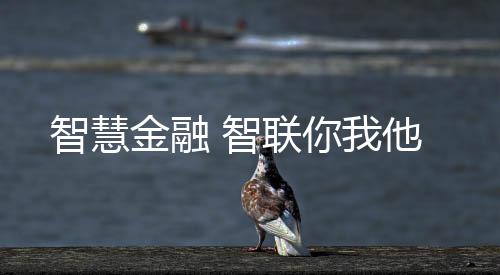 智慧金融 智聯(lián)你我他