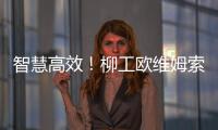 智慧高效！柳工歐維姆索力采集系統(tǒng)助力安羅高速黃河特大橋建設(shè)