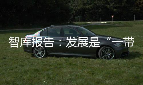 智庫報告：發展是“一帶一路”沿線各國最大公約數