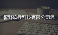 智野軟件科技有限公司怎么樣有關智野軟件科技有限公司的詳細內容