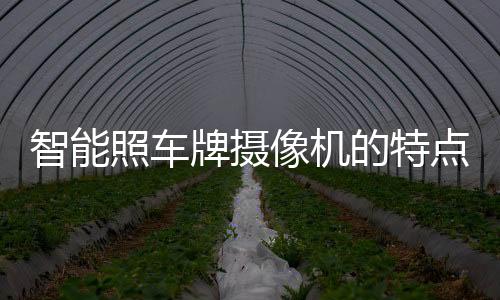 智能照車牌攝像機的特點和工作原理