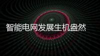 智能電網發展生機盎然 高清帶來行業客戶價值