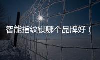智能指紋鎖哪個(gè)品牌好（指紋鎖品牌排行榜）