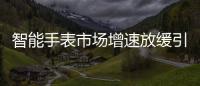 智能手表市場增速放緩引起連鎖反應？Meta或將停止智能手表項目