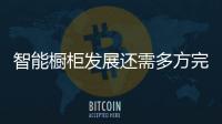 智能櫥柜發展還需多方完善