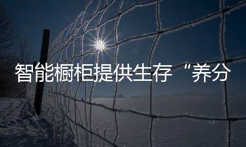 智能櫥柜提供生存“養分” 產品助推企業發展