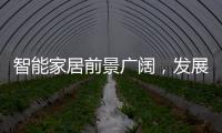 智能家居前景廣闊，發展路上仍需“修煉內功”（圖）