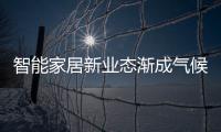 智能家居新業(yè)態(tài)漸成氣候