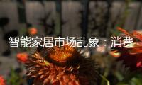 智能家居市場亂象：消費者成了拼裝者（圖）