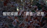 智能家居，“真香”還是智商稅？（圖）