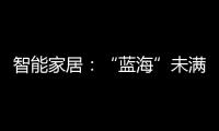 智能家居：“藍海”未滿，未來已來