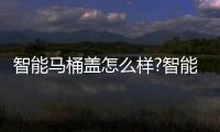 智能馬桶蓋怎么樣?智能馬桶加持的黑科技你了解嗎