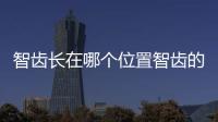 智齒長在哪個位置智齒的位置和生長過程解析