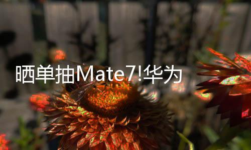 曬單抽Mate7!華為主動降噪耳機京東銷量第一【數碼&手機】風尚中國網