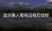 晨宗果入萄有沒有后續報道?