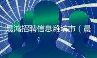 晨鴻招聘信息濰坊市（晨鴻信息招聘濰坊版）