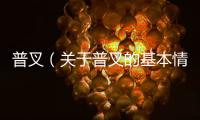 普叉（關于普叉的基本情況說明介紹）