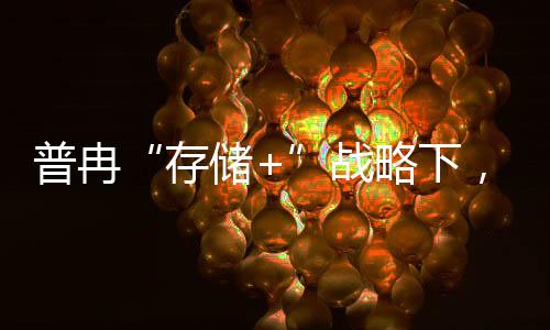 普冉“存儲+”戰略下，閃存與MCU互為優勢，2024上半年實現高增長