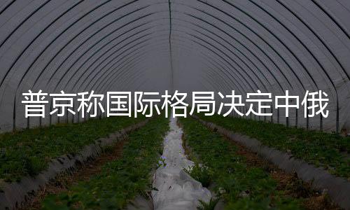 普京稱國際格局決定中俄將會長期保持最佳合作