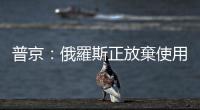 普京：俄羅斯正放棄使用美元和英鎊