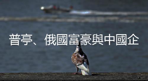 普亭、俄國富豪與中國企業家，世界經濟論壇的常客為何消失了？