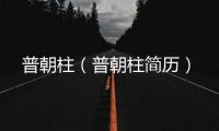 普朝柱（普朝柱簡歷）