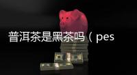 普洱茶是黑茶嗎（pescm）