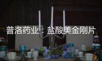 普洛藥業：鹽酸美金剛片獲藥品注冊批件