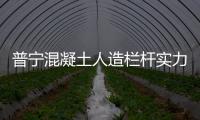 普寧混凝土人造欄桿實(shí)力品牌廠家