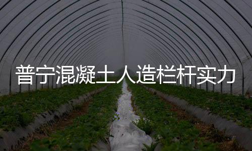 普寧混凝土人造欄桿實力品牌廠家