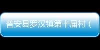 普安縣羅漢鎮第十屆村（社區）換屆選舉取得圓滿成功