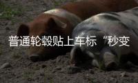 普通輪轂貼上車標“秒變”名牌 重慶曝光5起侵權假冒典型案例