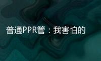 普通PPR管：我害怕的事情，F